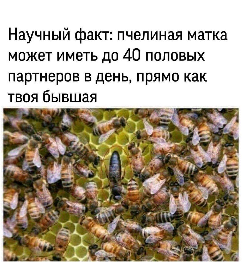 Возникало ли у Вас когда-нибудь желание отомстить своим бывшим?Если да,то какой была месть?