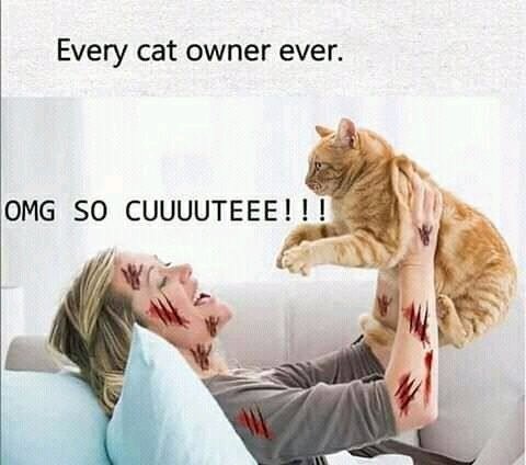🤭