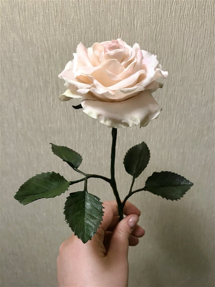 Роза из хф
