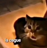 Cuál fué esa situación que ustedes dijeron "okay, esta vez SÍ la cagué"