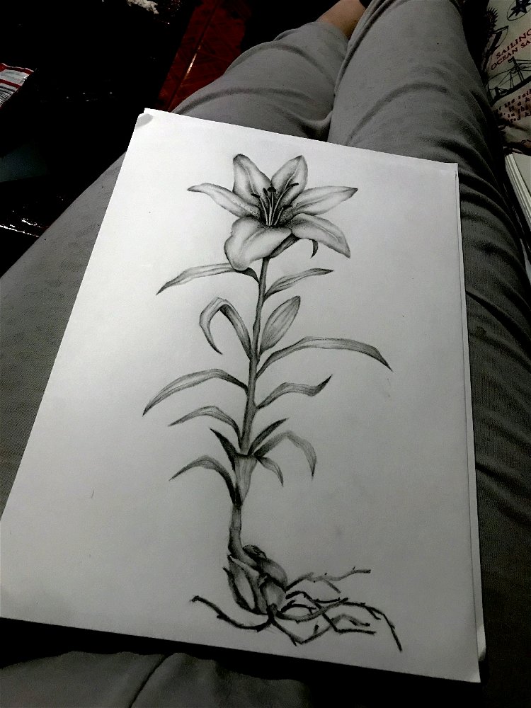 Ilustración científica, te gustó?