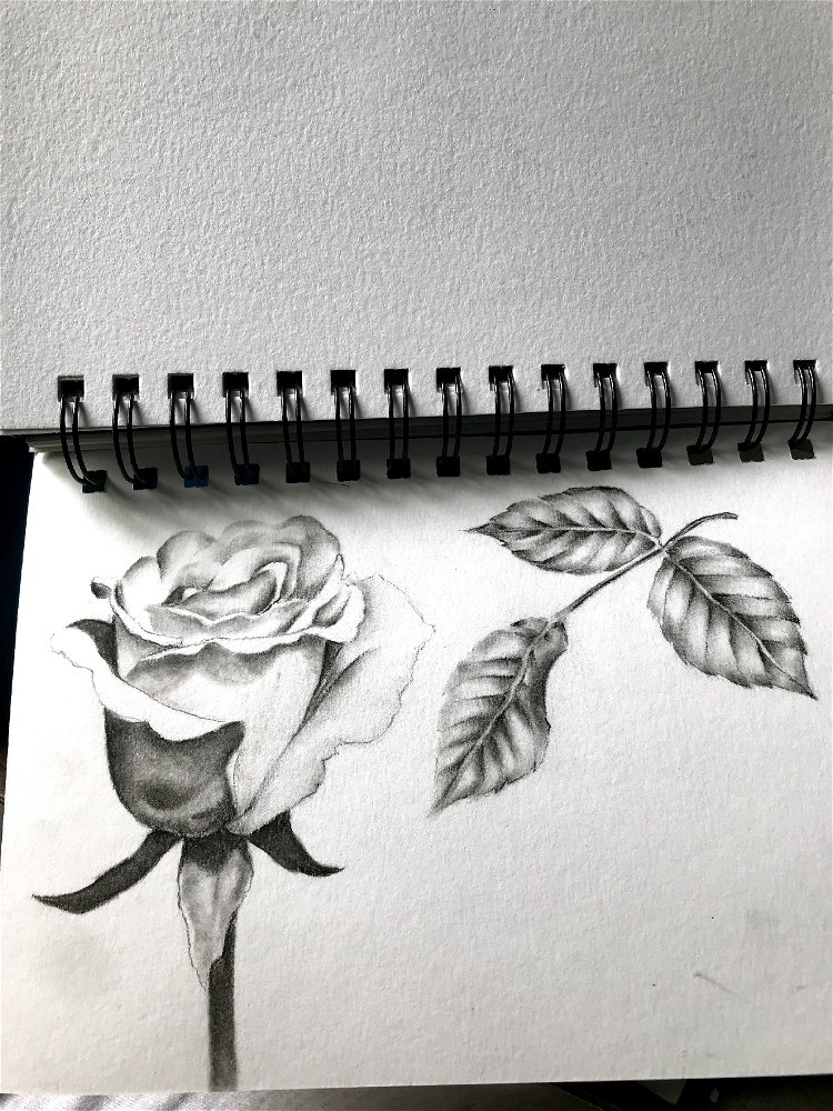 mis flores ya se marchitarón