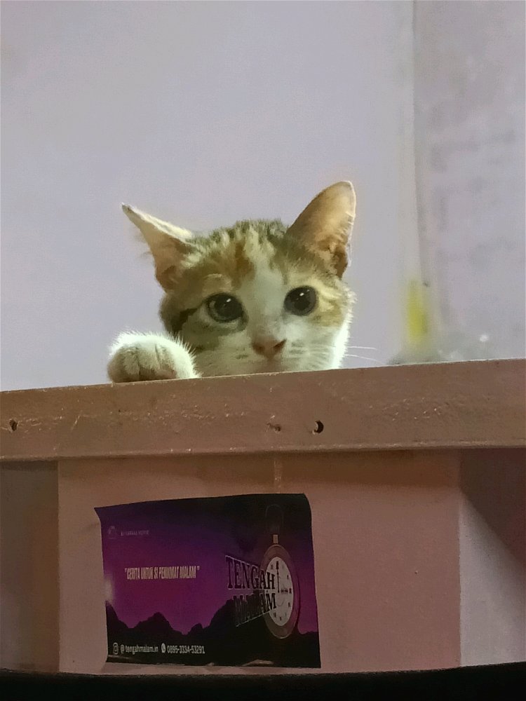 Hi!