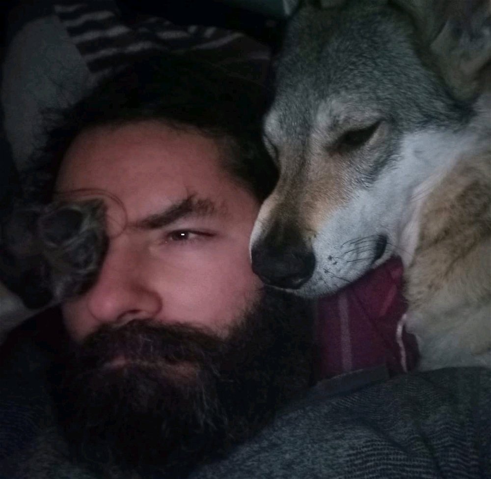 "Get two dogs they said, it will be fun they said."