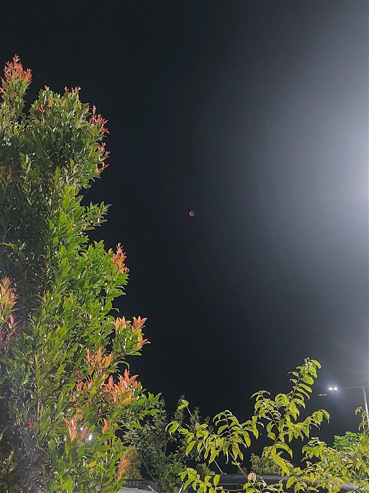 Blood moon.