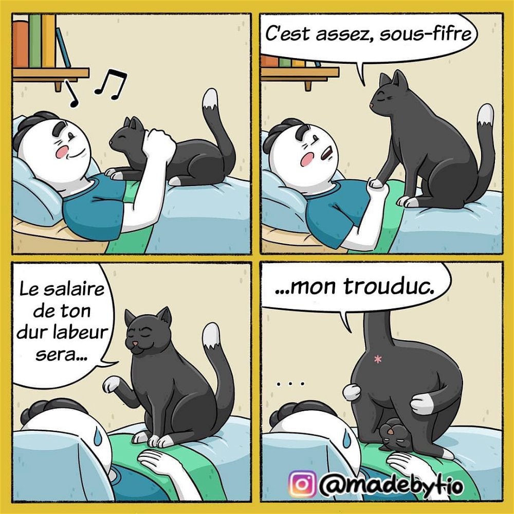 Tout les matins c’est la même chose 😂😂