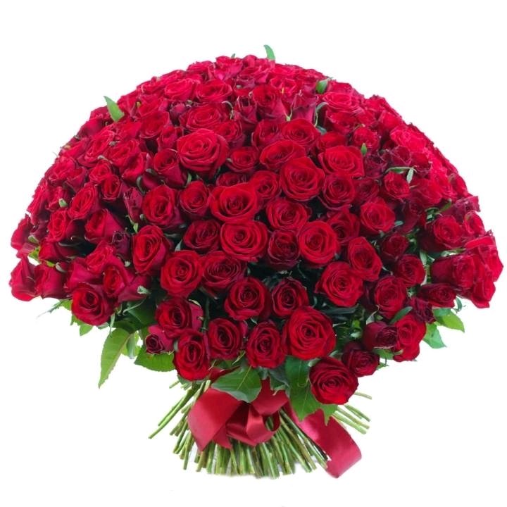 Какие ваши любимые цветы?
