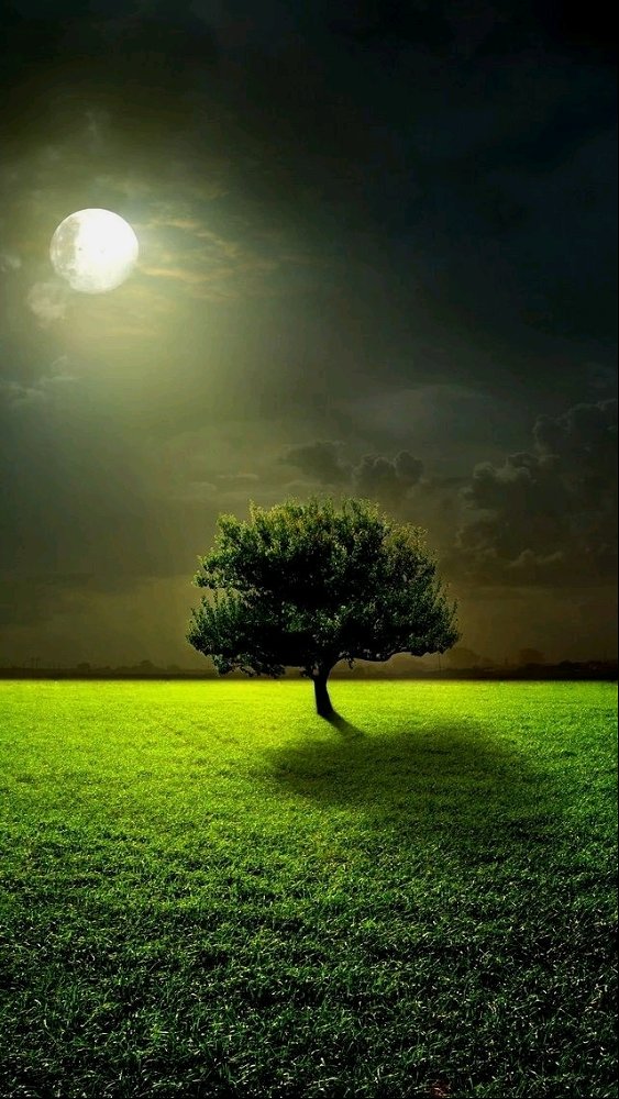 🌱