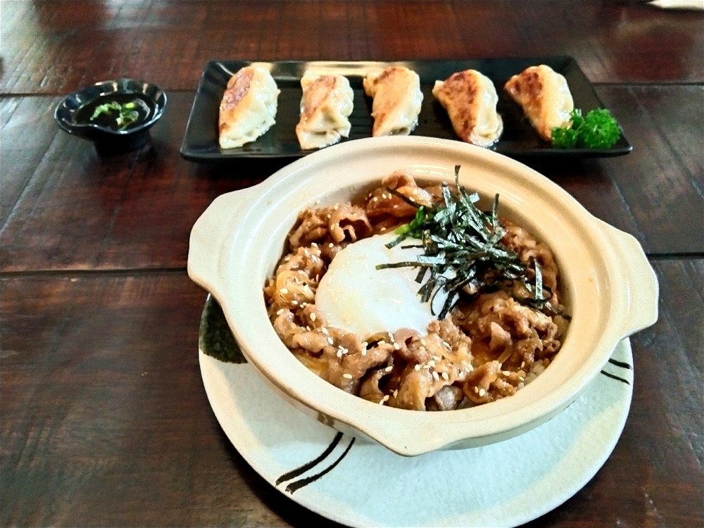 Gyoza and Gyudon
