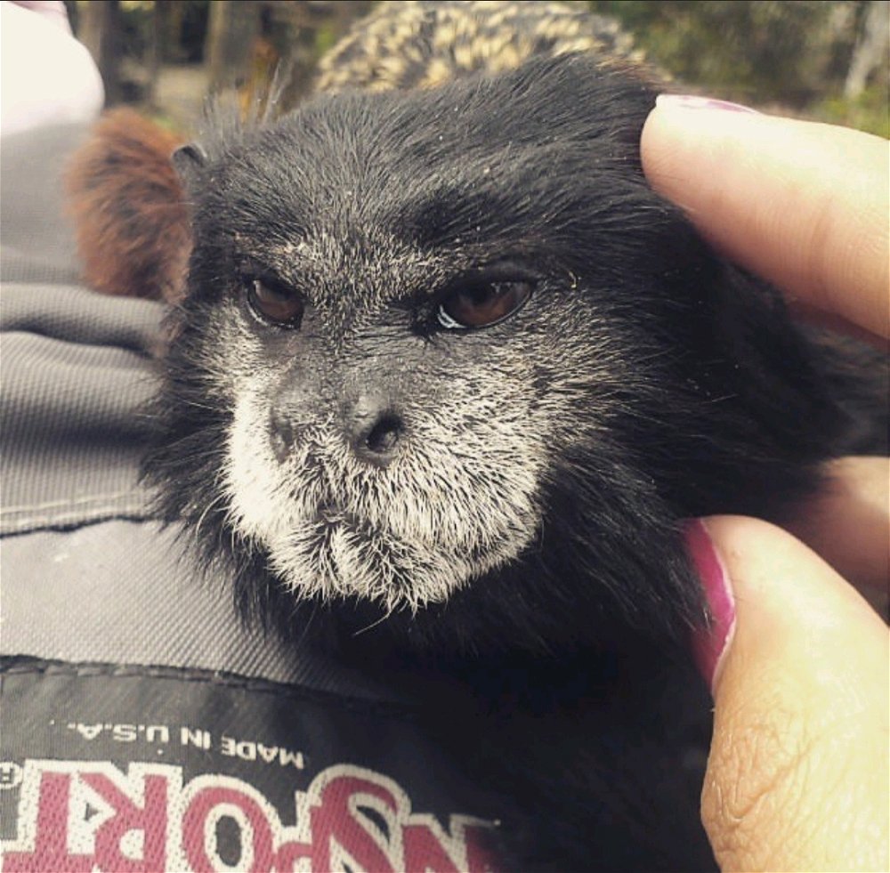 New friend