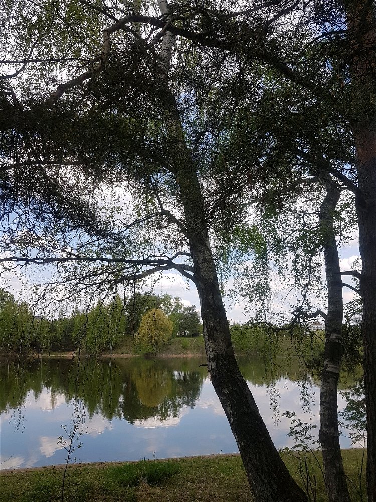 Природа прекрасна 🍃