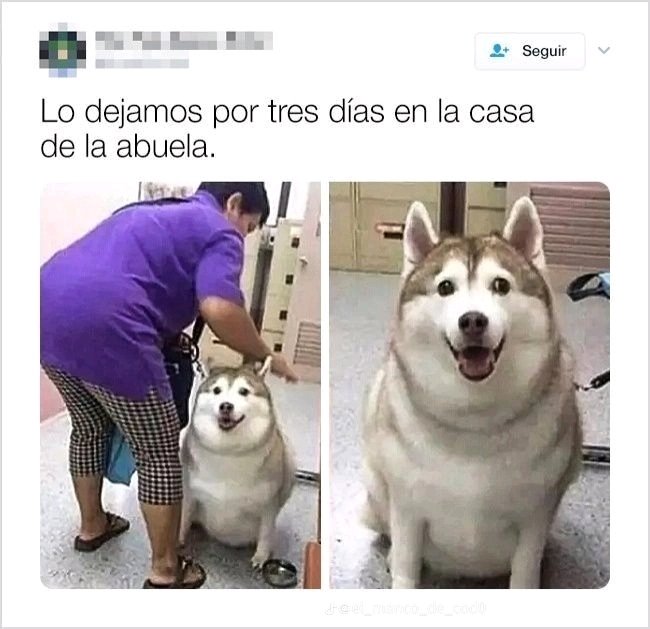 Abuelas