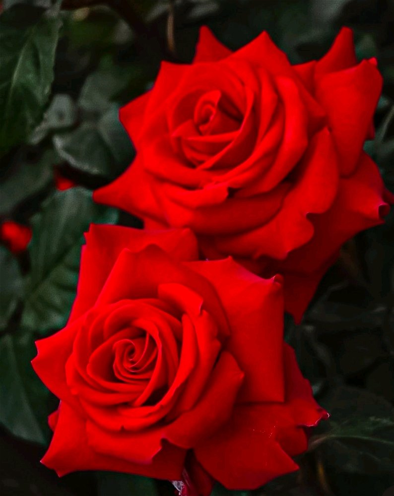 Morning..... Have a nice day
