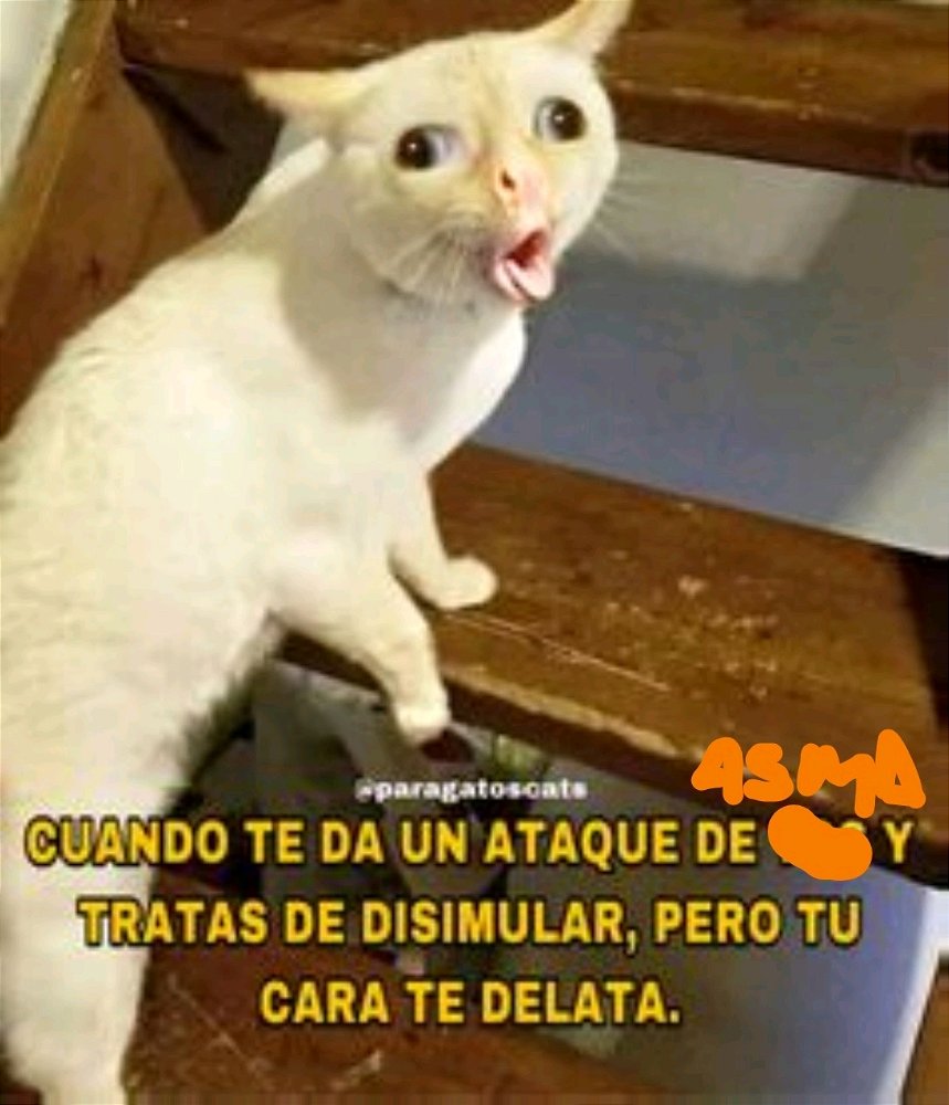 Asma