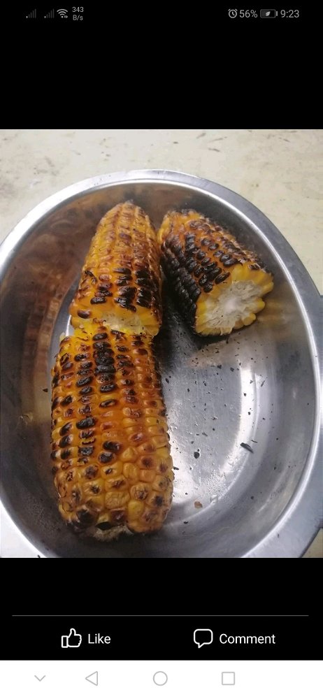 Broiled Young corn
