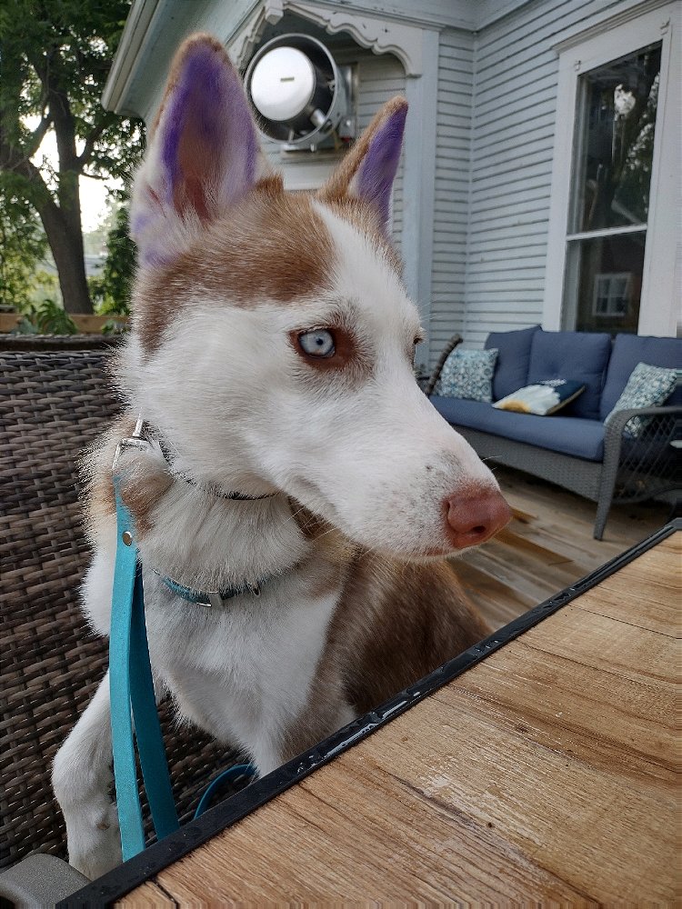 Waiting on coffee