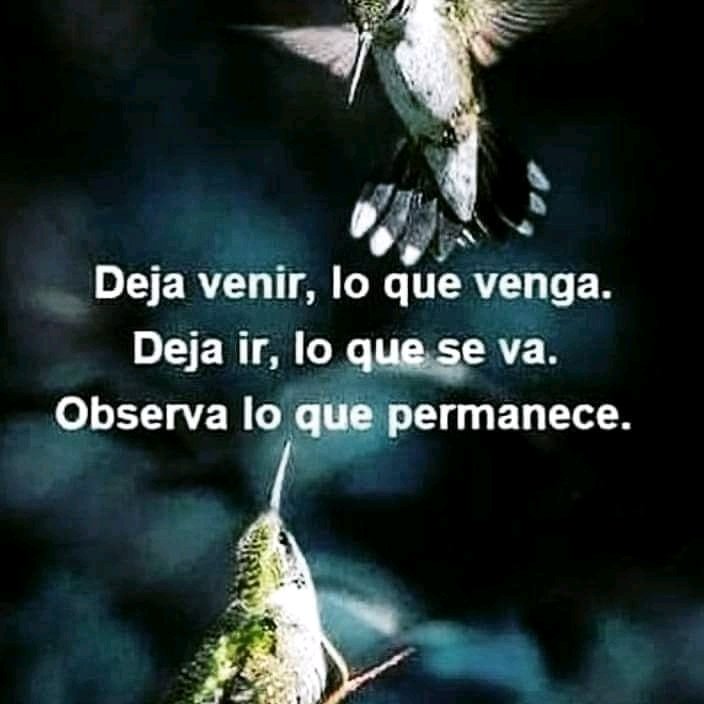 Deje que las cosas fluyan.