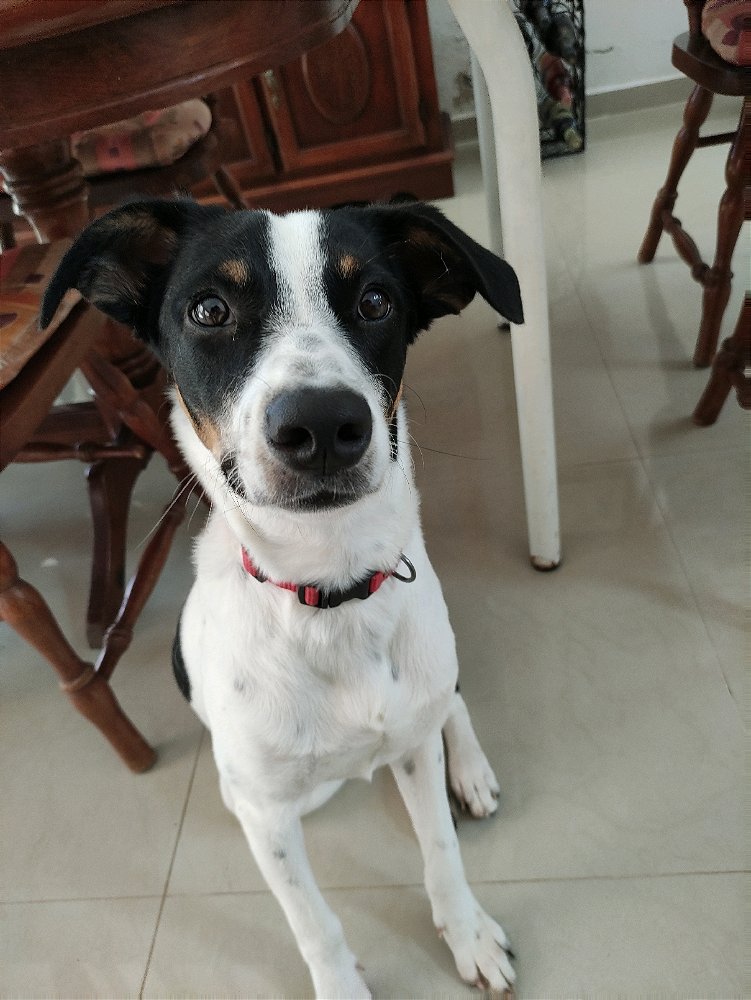 ❤️