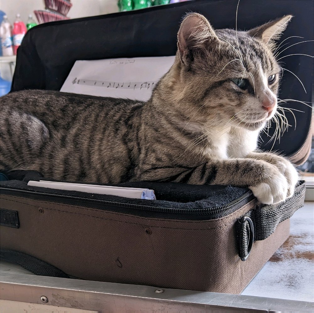 😺