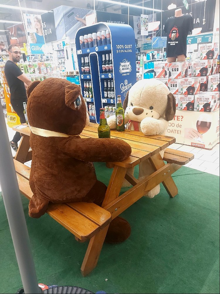 Până și ursii au iesit la bere pe căldurile astea
