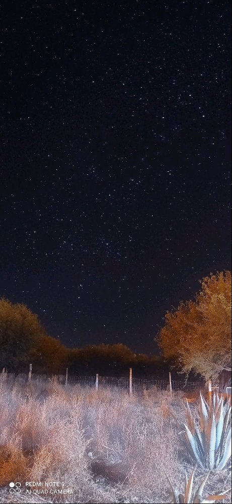 Lo hermoso de la noche