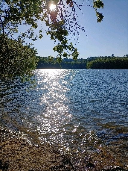 Mon paradis