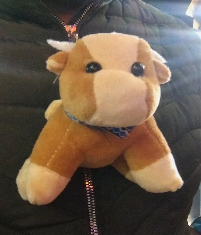 Muuu