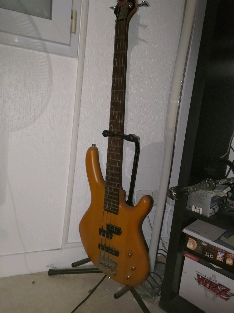 Mon rêve devenu un élément de déco...