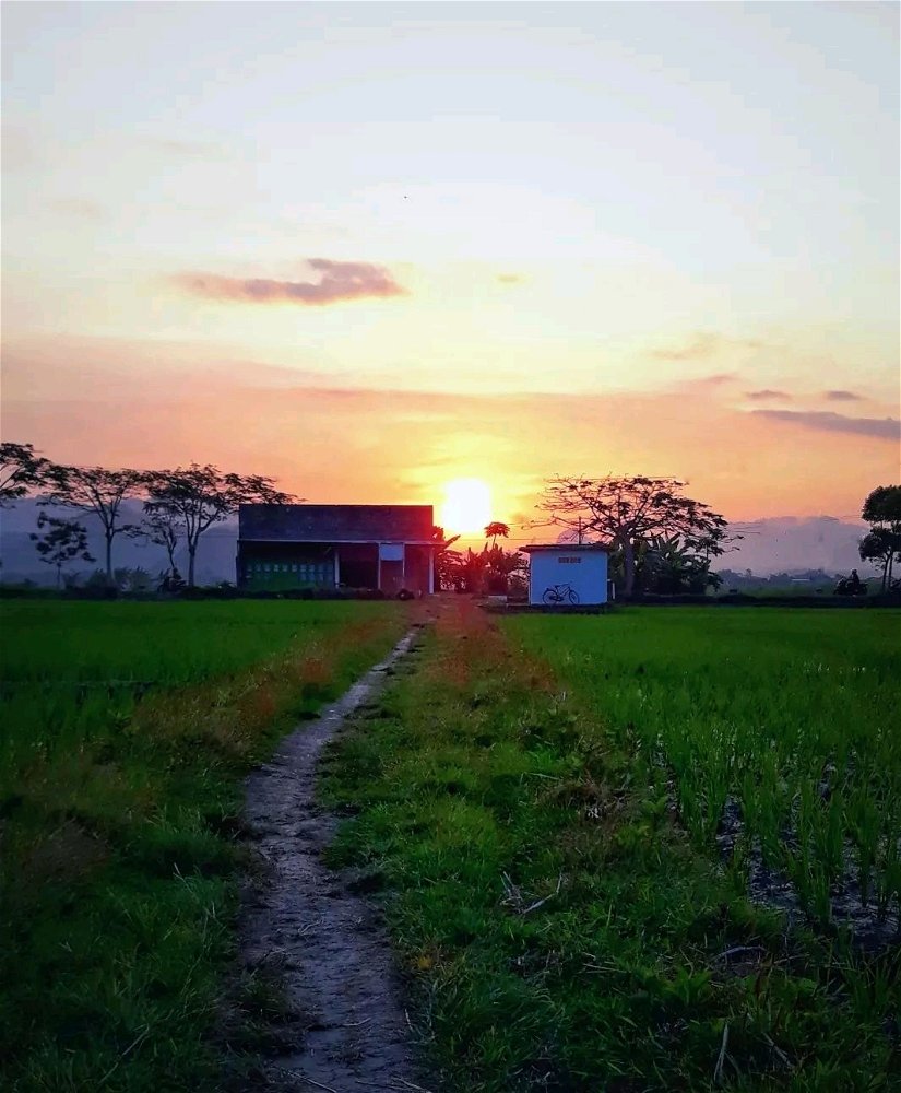 Senja
