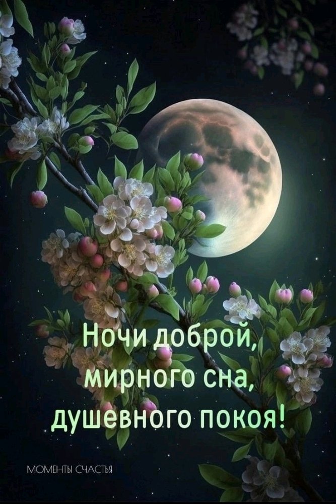 🌠🌙