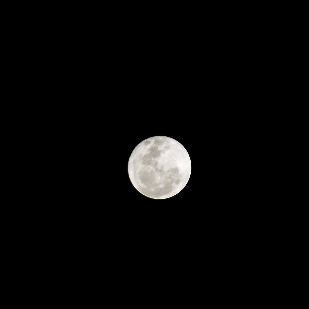 Uma foto que eu tirei, oque você acharam?:3
