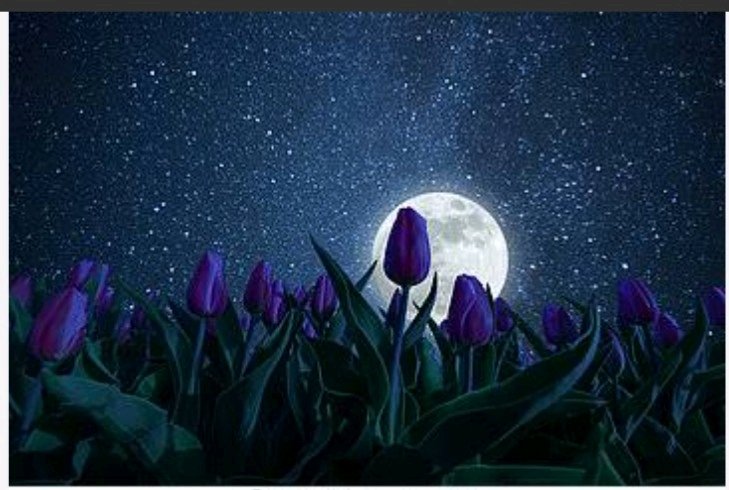 Have you ever had that moment in life, where you were happy and content, without a care in this world?