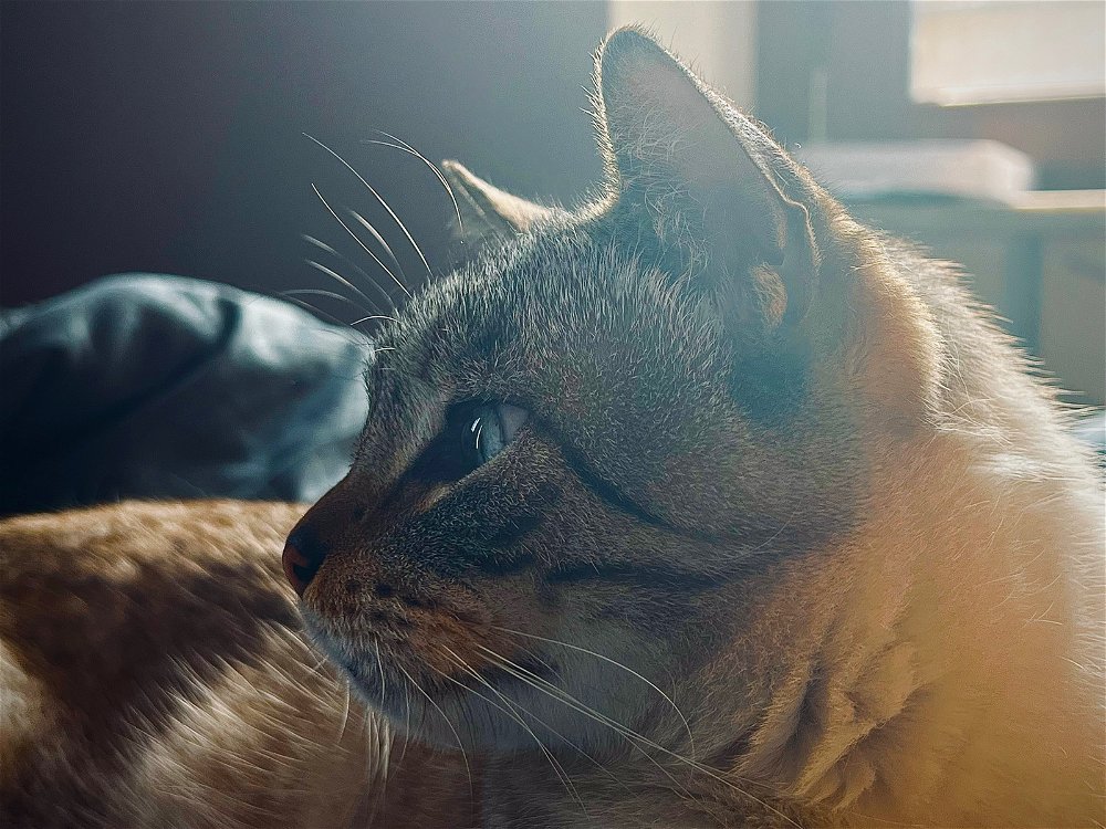 My buddy :3