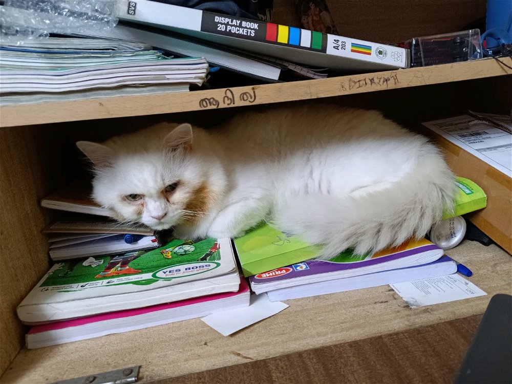 Someone decided to supervise my studies 🤡🤡