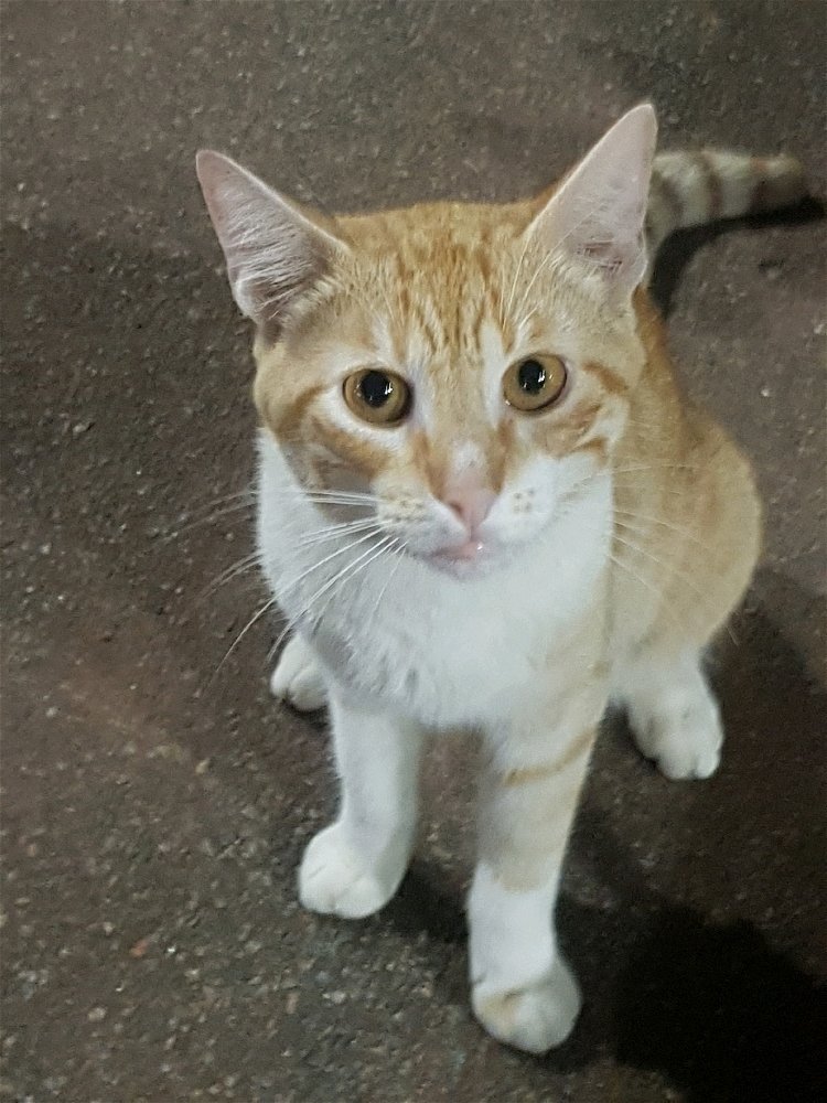 Questo tuo sguardo quando incontri il mio