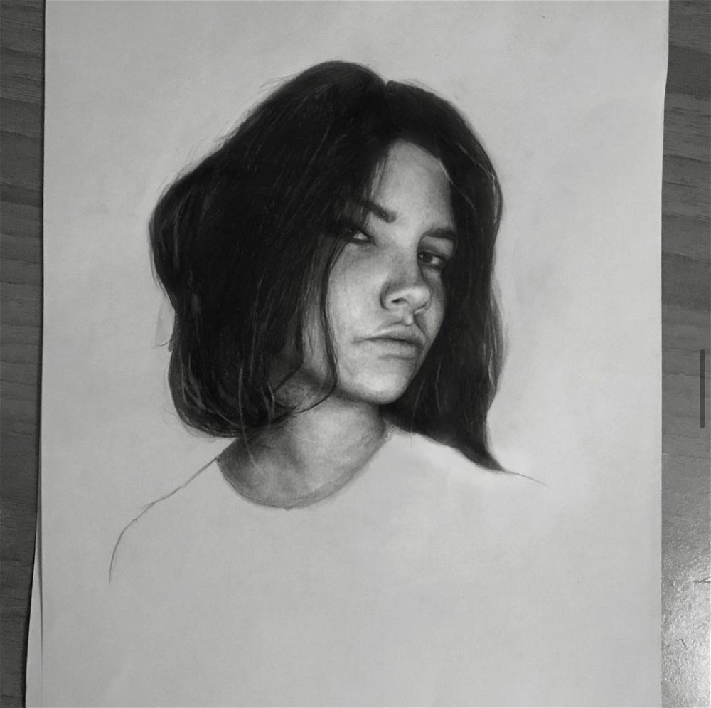Disegni