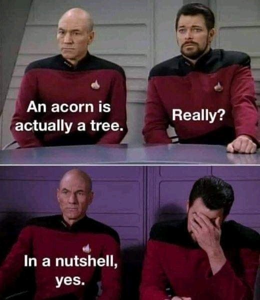 Hehe