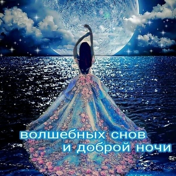 Всем спокойной ночи, сладких снов наполненных теплом и сказочными эпизодами🌙🌠