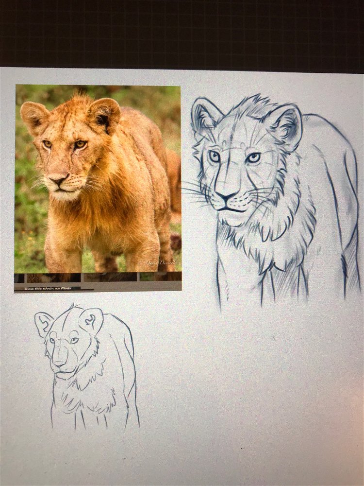 Lewki
