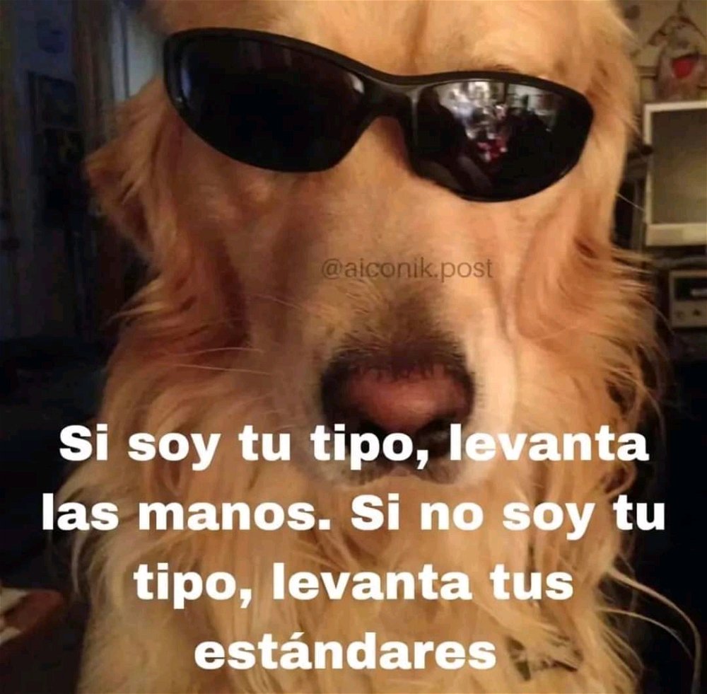 Las cosas como son
