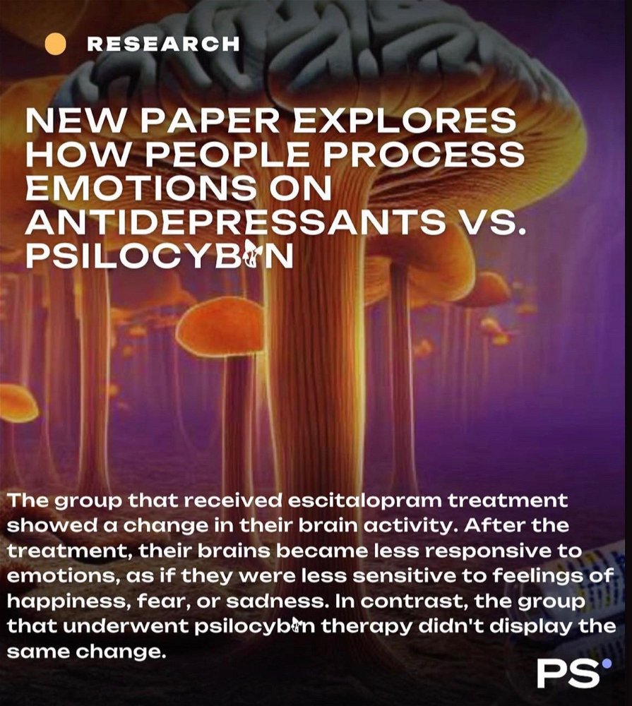 Antidepressants vs psilocybin