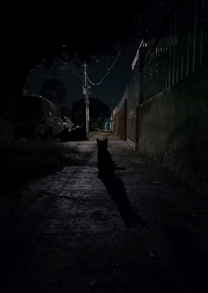 Nocturno