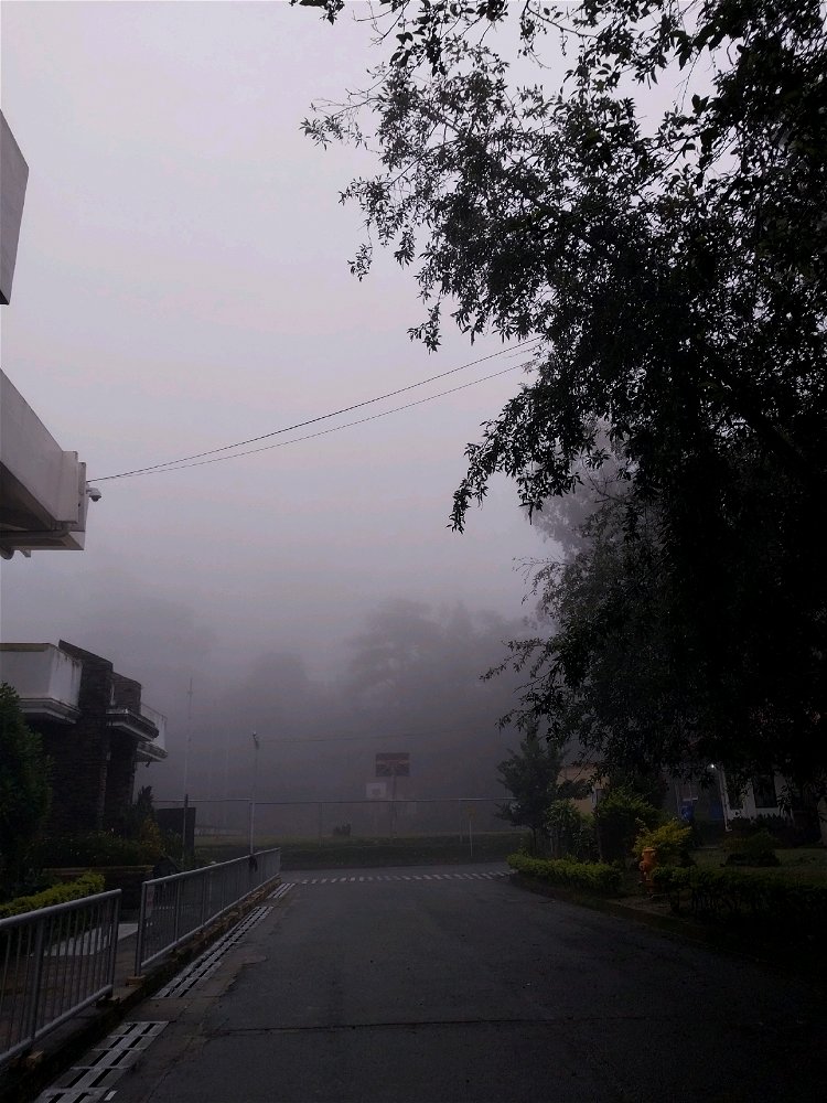 Fog