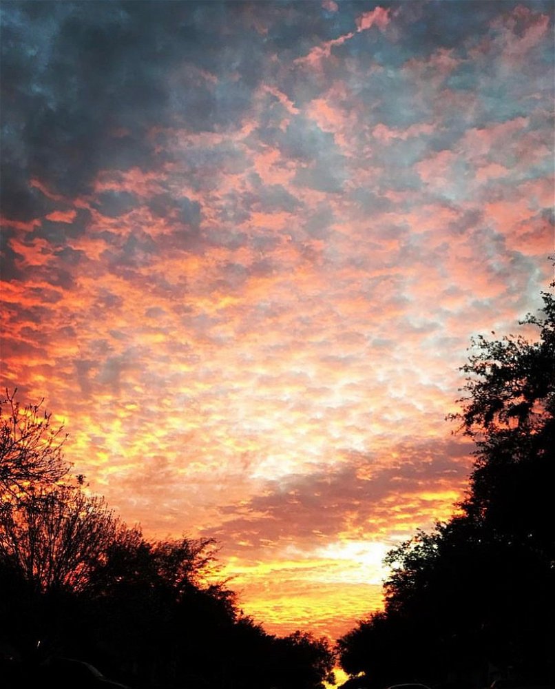 Texas Sunsets