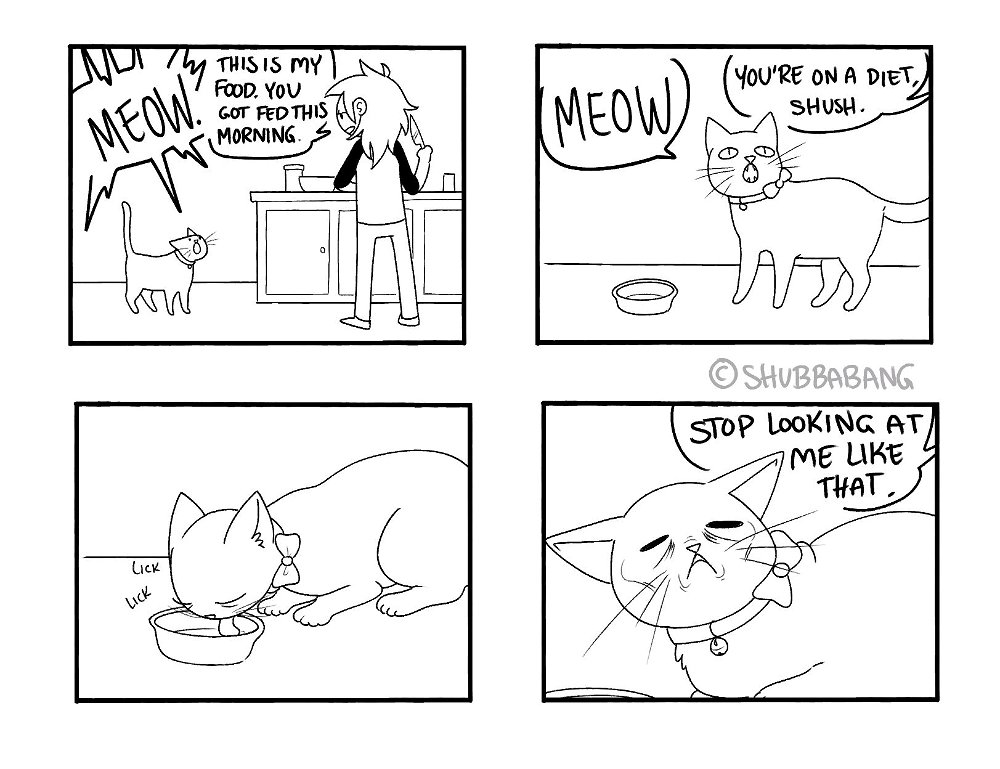 for the love of Good feed the poor kitty!