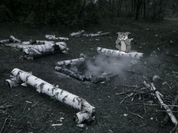 Быдло и элита.