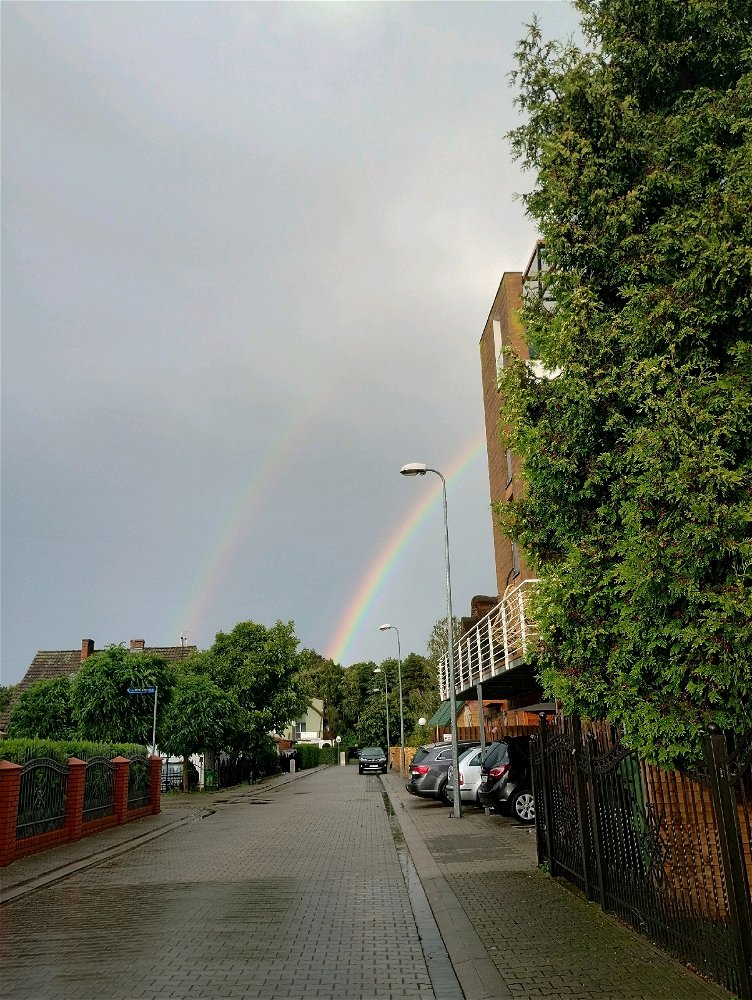 🌈🌈✨