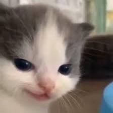 Atiny