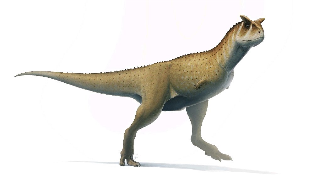 Cuál es dinosaurio favorito?