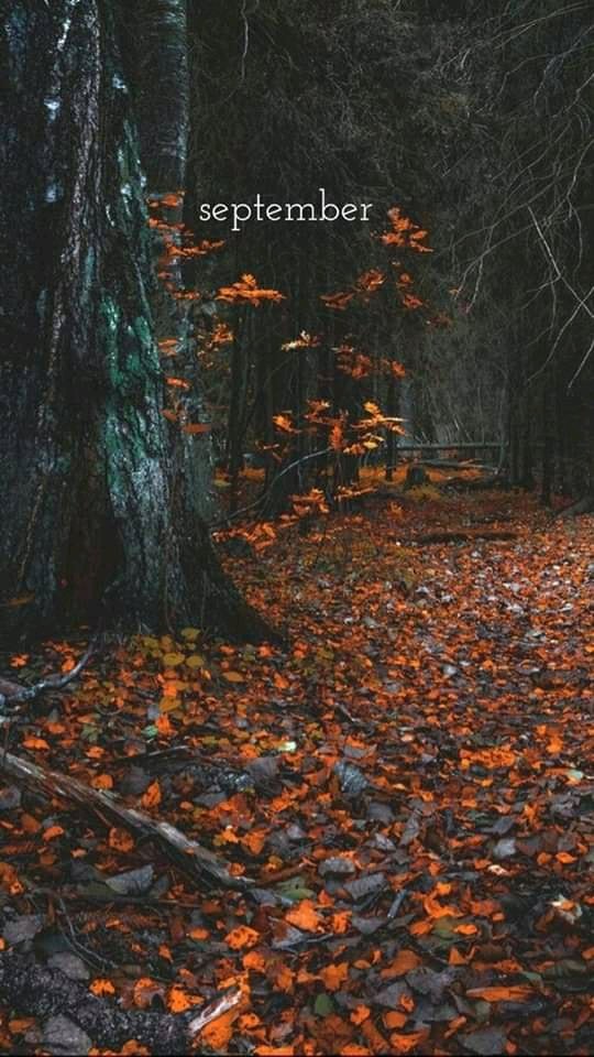September
